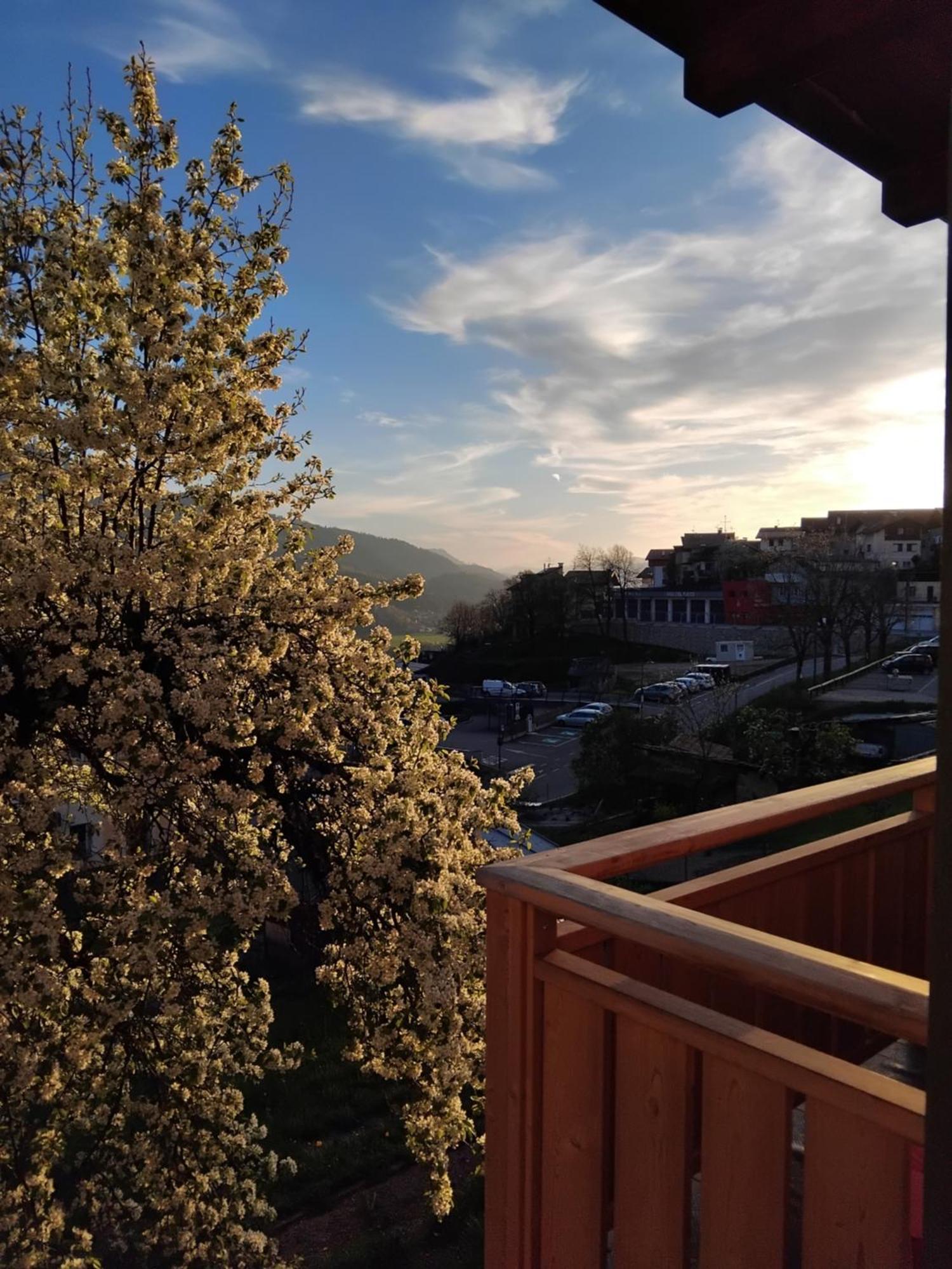 Casa Micei Apartment Tesero Bagian luar foto